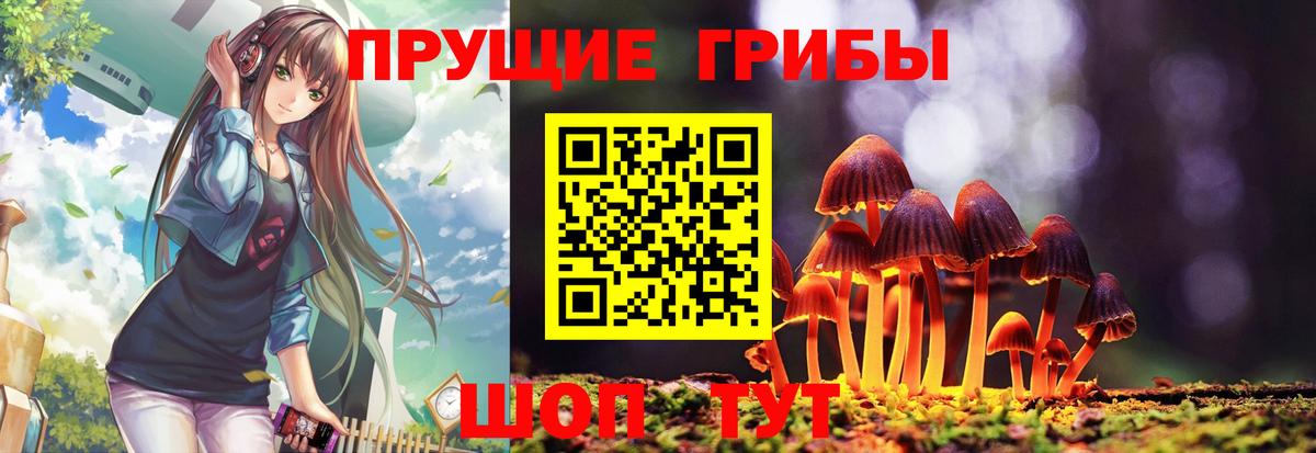 Псилоцибиновые грибы Psilocybine cubensis  Вход с VPN  Галлюциногенные грибы GOLDEN TEACHER  Пермь 